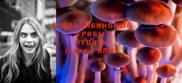 гидропоника Бородино