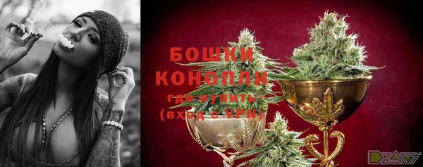 PSILOCYBIN Богородск