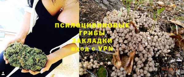PSILOCYBIN Богородск