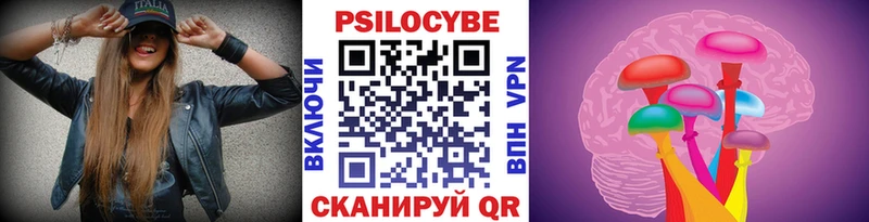 закладка  Зарайск  МЕГА маркетплейс  Псилоцибиновые грибы Psilocybe 